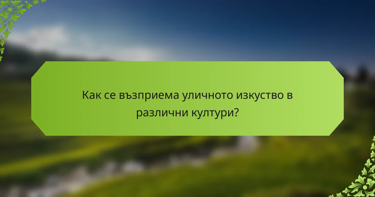 Как се възприема уличното изкуство в различни култури?