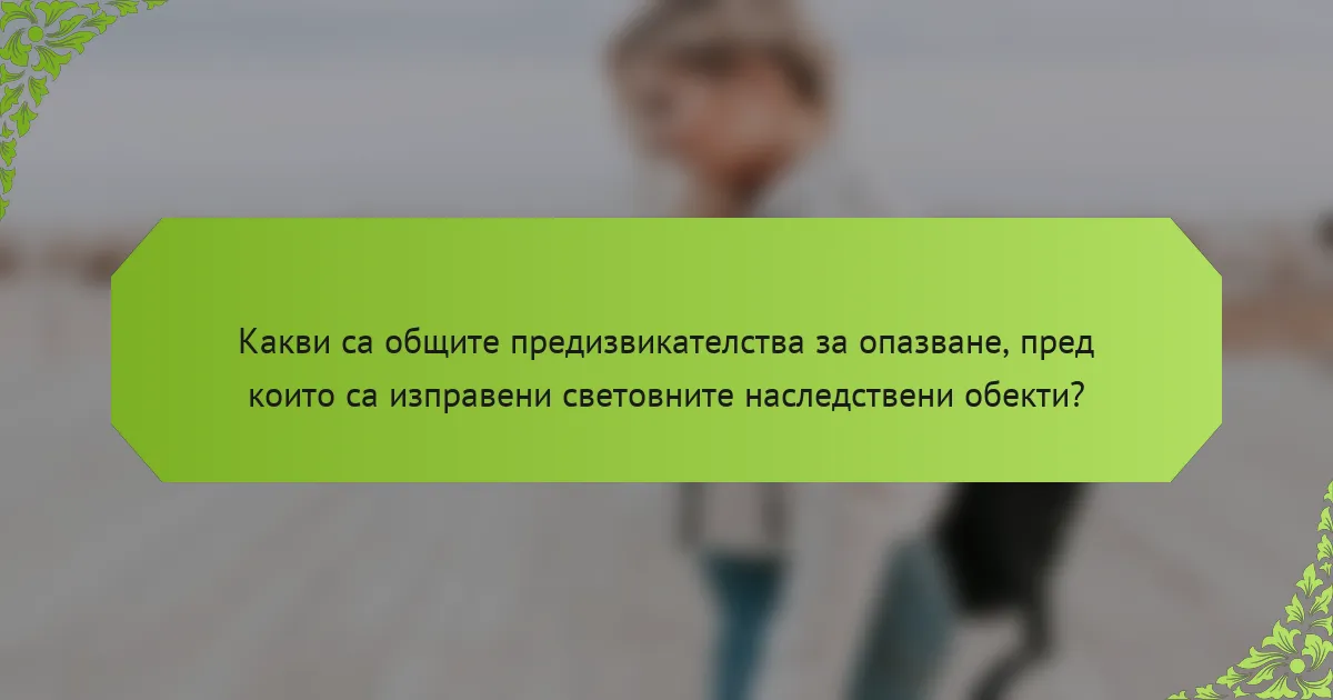 Какви са общите предизвикателства за опазване, пред които са изправени световните наследствени обекти?