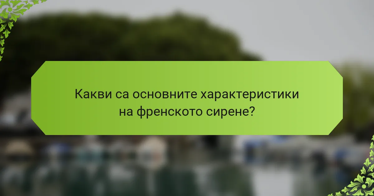Какви са основните характеристики на френското сирене?