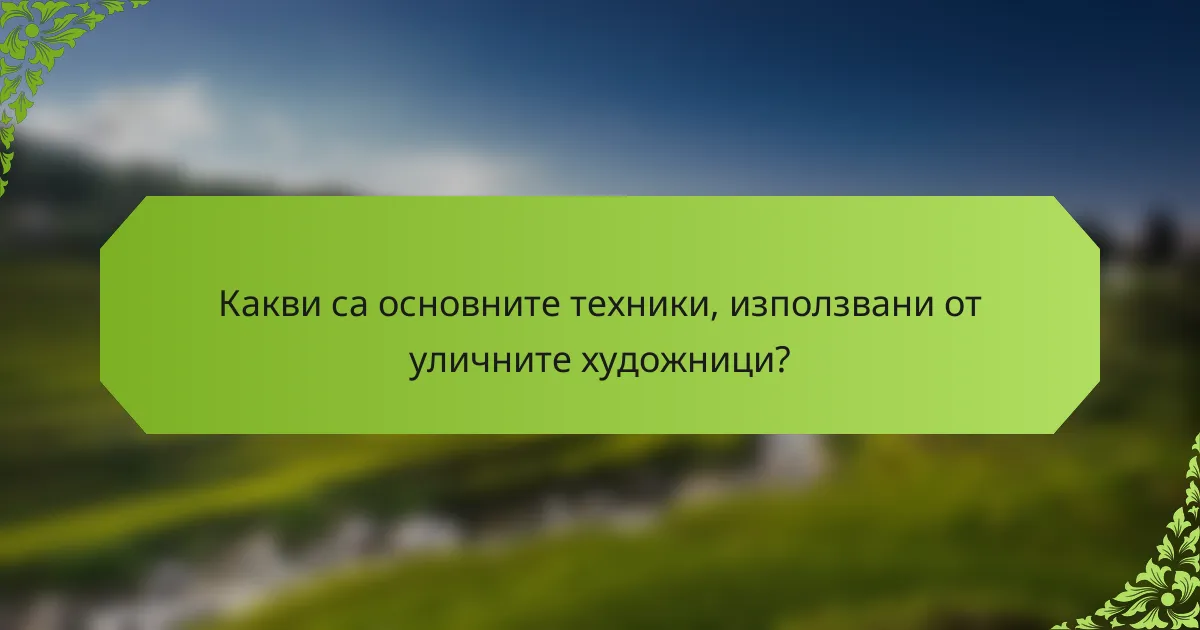 Какви са основните техники, използвани от уличните художници?