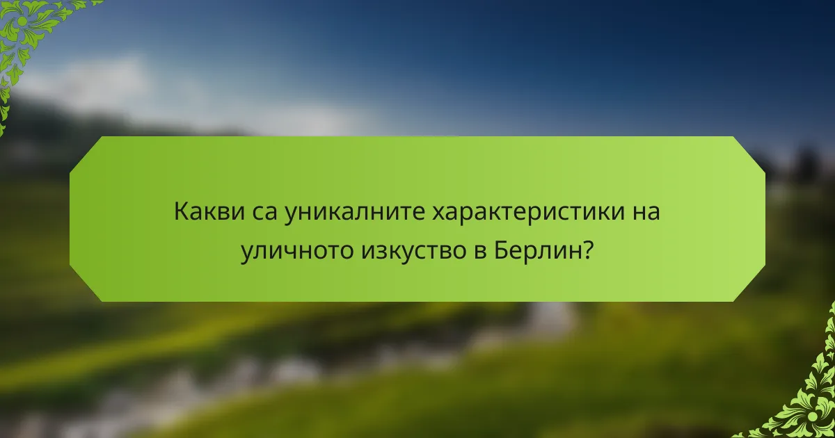 Какви са уникалните характеристики на уличното изкуство в Берлин?